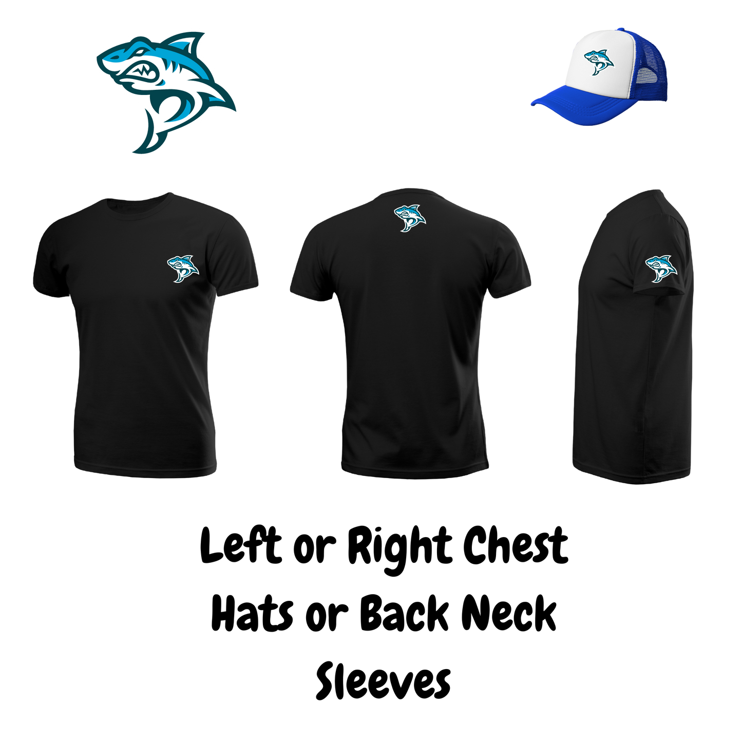 Order Transfers By Size